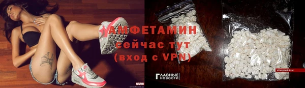 дурь Заводоуковск
