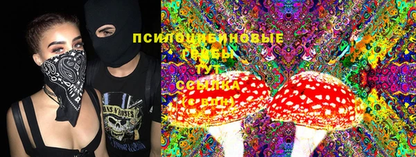 дурь Заводоуковск