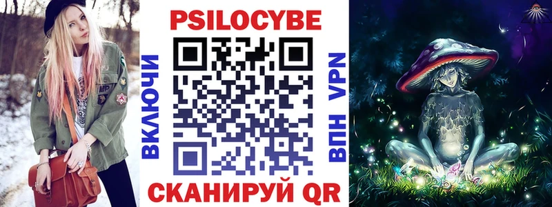 Псилоцибиновые грибы Psilocybe  Каргат 
